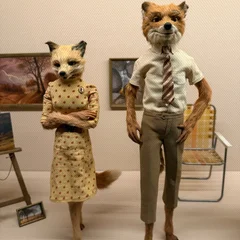 Wes Anderson: The Archives