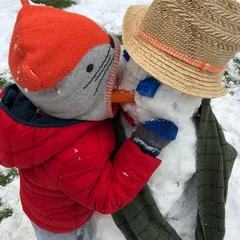Frosts ❄️ built a snowman ⛄️