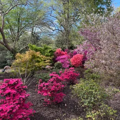 Royal Botanic Gardens, Kew
