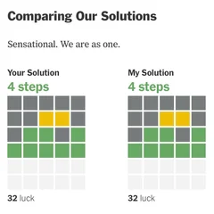 Identical Wordle solutions - mine and the Wordlebot