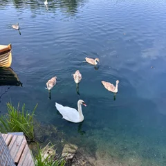 Weekend by the lake