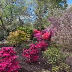 Royal Botanic Gardens, Kew