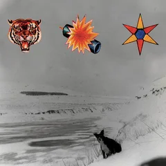 The Three E.P.'s (20th Anniversary Remaster) by The Beta Band