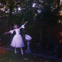 Visions of a Life by Wolf Alice